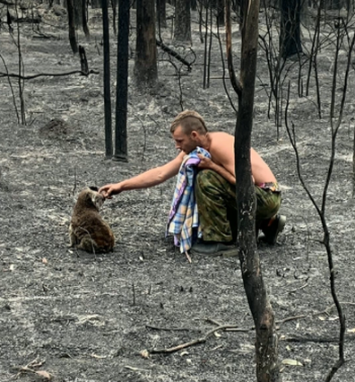 He's saved "eight or nine" of the marsupials to date. 