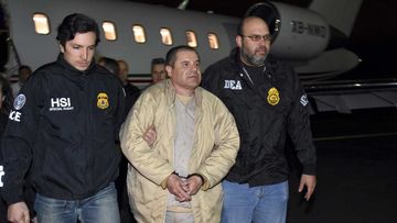Joaquin Guzman, or El Chapo, is escorted off a plane.