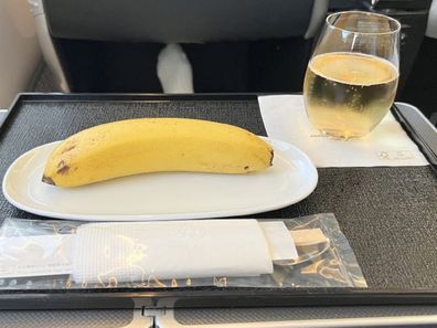 vegan meal on flight
