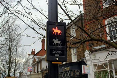 wimbledon traffic lights with horses