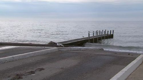 Victorian community divided by seal squatting on boat ramp.