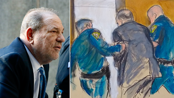 Weinstein court search