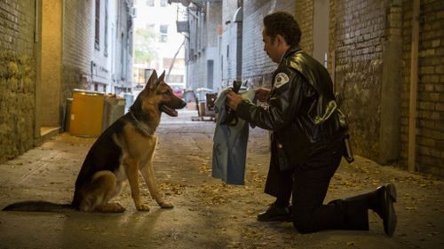 A scene from A Dog's Purpose. (AAP)