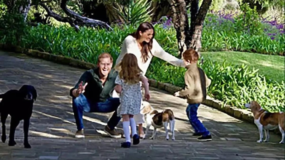 Prince Harry is 'bored' with his life in California, claims author Tom Quinn - 9Honey