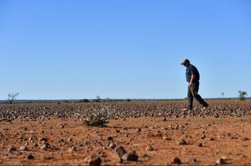 Pastoralist Zane Turner at Goodwood Station near Whitecliff, NSW.