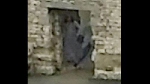 English couple claims to have caught ghost on camera at 'haunted' castle