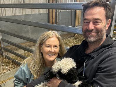 valais blacknose yarra valley sheep sydney royal easter show kim and richie