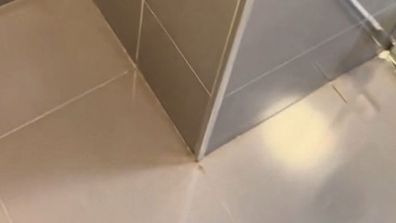Bathroom tiles after being cleaned with a scraper