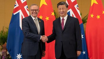 Anthony Albanese and Xi Jinping meet in Bali.