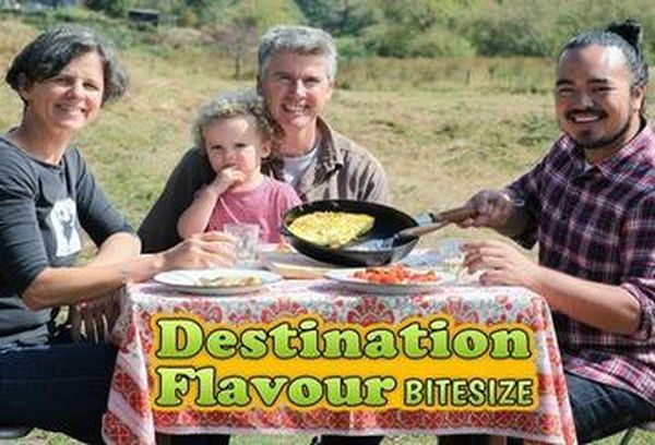 Destination Flavour Bitesize