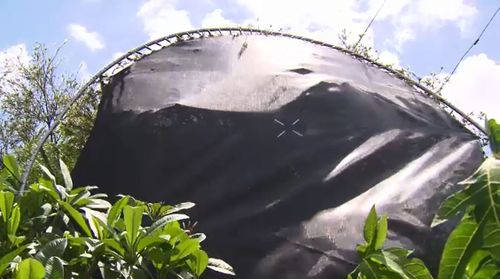 The storm sent a trampoline over a house and into a tree. (Image: 9NEWS)