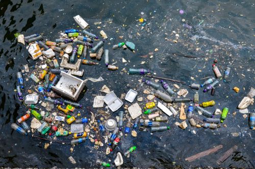 Approximately one ton of plastic debris can be found for every kilometre of coastline in Far North Queensland.