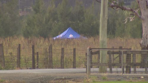 The site where NSW Police discovered unconfirmed human remains in the search for 85-year-old grandfather Chris Baghsarian. February 24, 2026.