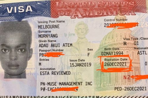 A copy of what is purported to be Adau Mornyang's US visa was posted on a fundraising page set up by the Australian model's sister. 
