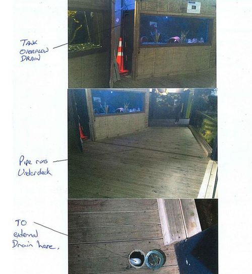 A series of photos released by the aquarium detailing Inky's possible escape. (New Zealand National Aquarium)