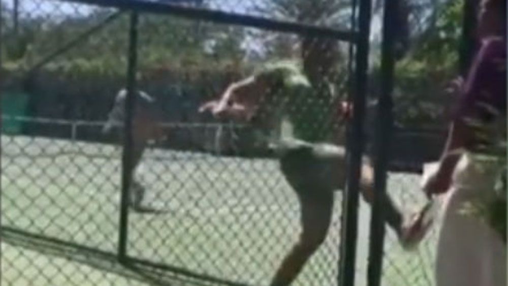 Irate Iranian tennis player chases umpire