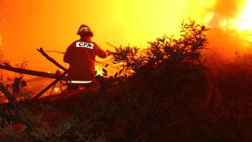 The CFA is in a pay dispute with the firefighters' union and the state government. (AAP)