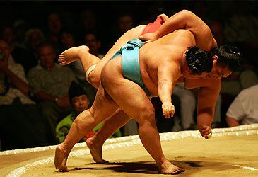 What is the Japanese term for a professional sumo wrestler?