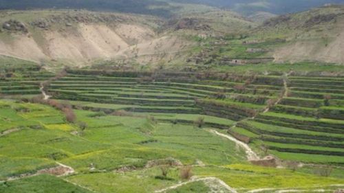 Stranded in the mountains but no biblical rescue for the desperate people of northern Iraq