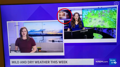 I Porn Net Tv - American news channel accidentally airs porn during weather broadcast -  9Honey