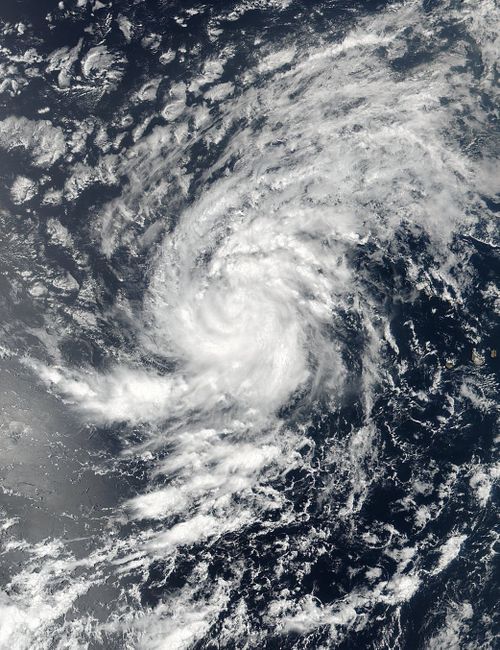  A handout photo made available by NASA shows an image acquired by the joint NASA/NOAA Suomi National Polar-orbiting Partnership (NPP) satellite of then Tropical Storm Irma in the Eastern Atlantic Ocean on August 30. (AAP)