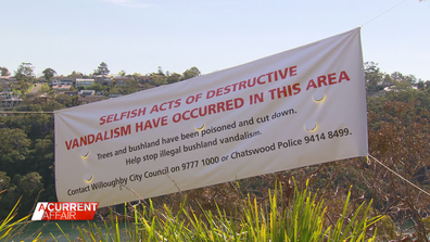 Tree vandalism in Sydney