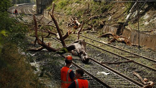 The train crashed into a tree which had been uprooted by a massive hailstorm. (AAP)