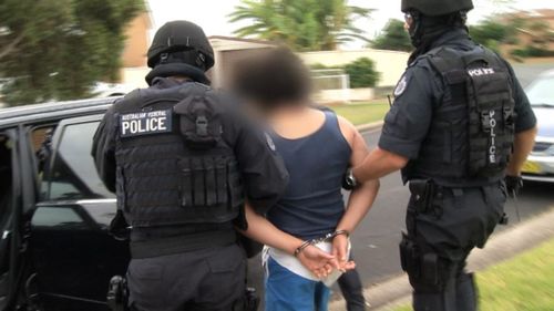 Real concern Sydney teen arrested in counter-terror raids could commit serious crime if bailed: court