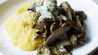 Recipe:&nbsp;<a href="http://kitchen.nine.com.au/2018/03/05/12/16/mushroom-mascarpone-and-polenta-bake-recipe" target="_top" draggable="false">Mushroom, mascarpone and polenta bake</a><br />
<br />