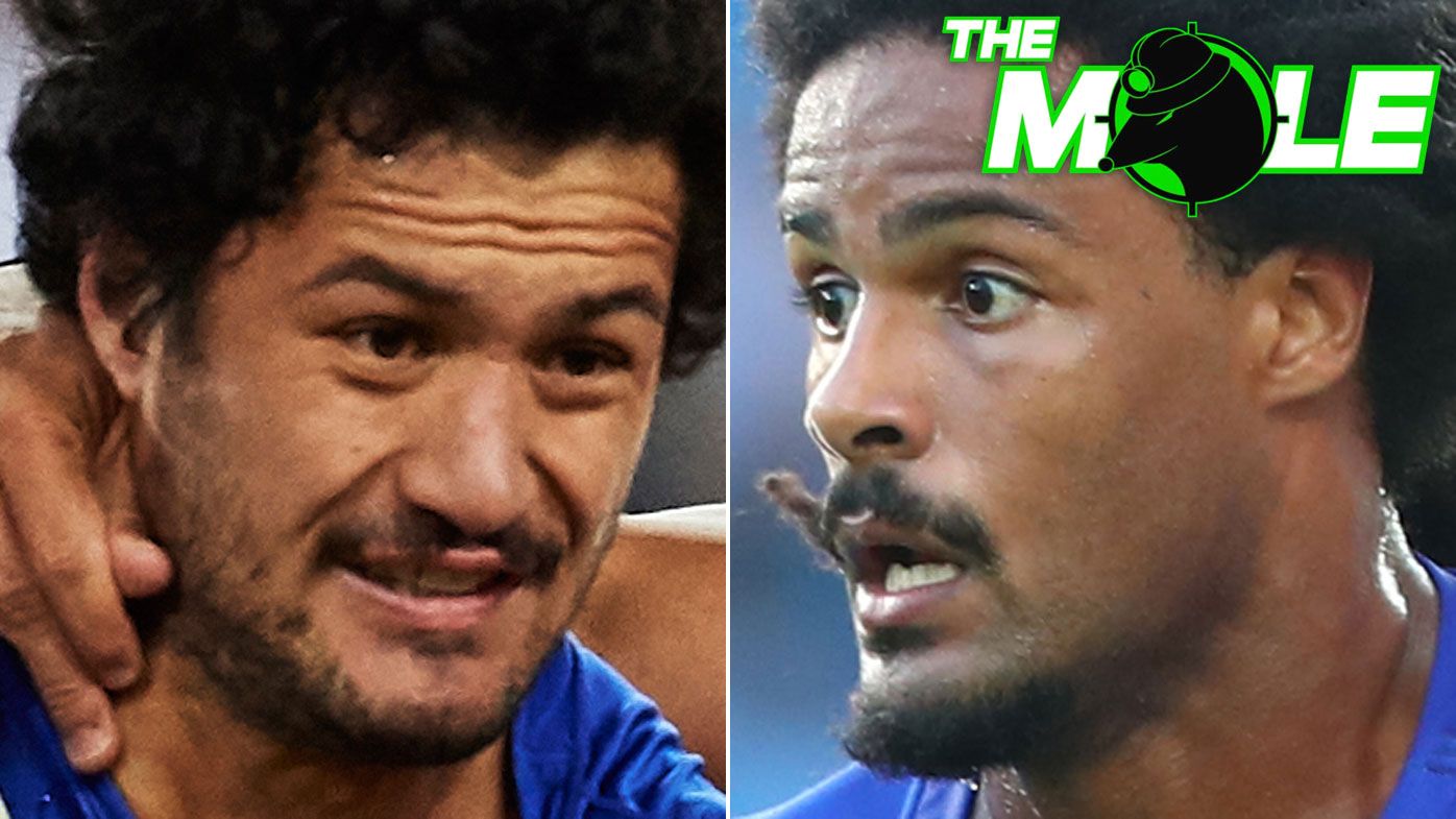 The Mole: Bulldogs and NRL must tear up contracts, ban sex-scandal players