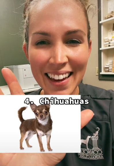 A vet has gone viral after releasing a list containing her "least favourite dog breeds"