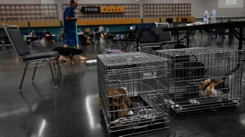 Pets sit in crates at a public cooling shelter set up at the Oregon Convention Center during a heatwave in Portland, Oregon, USA.