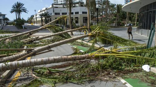 View of fallen trees blocking a street after the passing of Hurricane Irma in Miami Beach. (AAP)