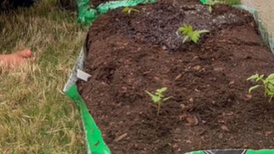 Garden made out of soil bags, gardening hack