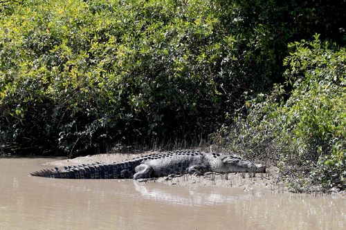 This is croc country. Picture: AAP