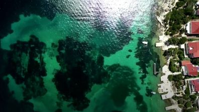 Lumbarda: un arqueólogo descubre un asentamiento de 6000 años en una isla frente a la costa croata