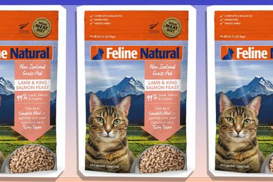 9PR:Feline Natural Grain-Free Freeze-Dried Cat Food, Lamb & Salmon
