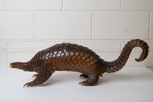 A taxidermied Pangolin forms part of the collection of items siezed by Australian Border Force officers. 16th January 2018, Photo: Wolter Peeters, The Sydney Morning Herald.