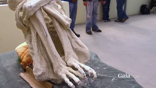 The Peruvian mummy also has just three fingers and toes on each limb and rounded ribs (Gaia).