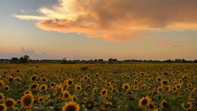 Wisconsin, USA