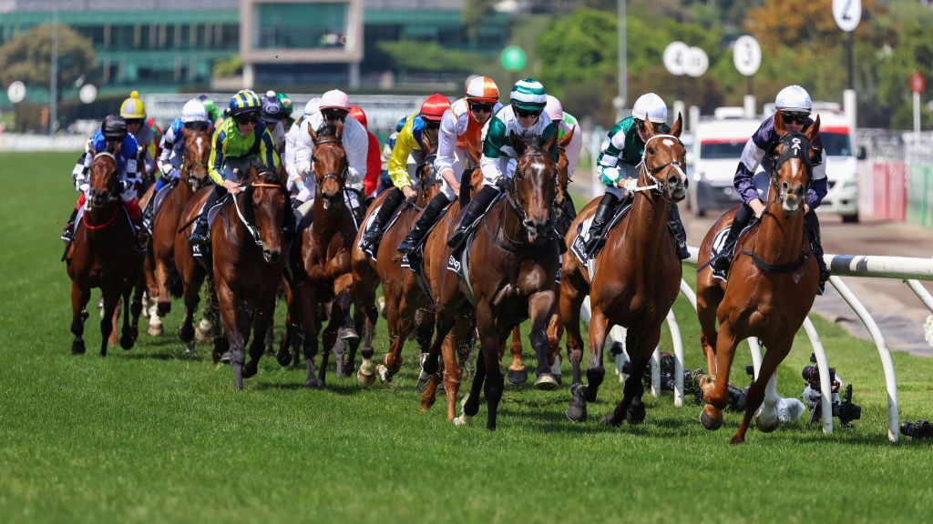 The 2023 Melbourne Cup.
