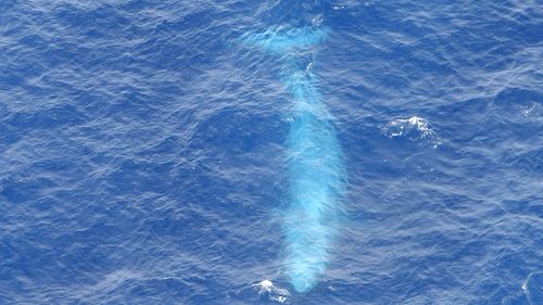 A blue whale seen swimming off Childer's Cove, south west Victoria.
