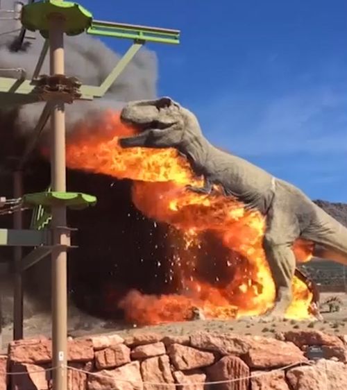 A 7-metre tall model Tyrannosaurus Rex was set alight earlier this week at a dinosaur-themed park in the United States. Picture: ZACH REYNOLDS/ROYAL GORGE DINOSAUR EXPERIENCE.