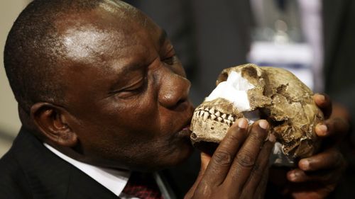 South Africa Deputy President Cyril Ramaphosa with a reconstruction of Homo naledi's face. (AAP)