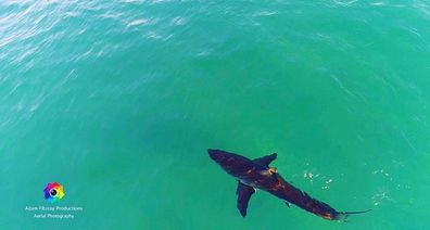 Mr Fitzroy took this photo at Tuncurry Beach breakwall yesterday after he evacuated the beach.