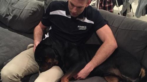 AFL footballer settles defamation case with vet after dog's leg amputated