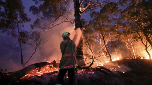 ACT Rural Fire Service and ACT Parks and Conservation battle the North Black Range bushfire northwest of Braidwood, NSW, Thursday 5 December 2019 fedpol Photo: Alex Ellinghausen