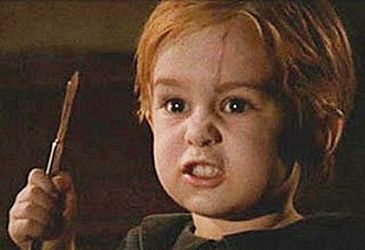 Who wrote the screenplay for Pet Sematary?