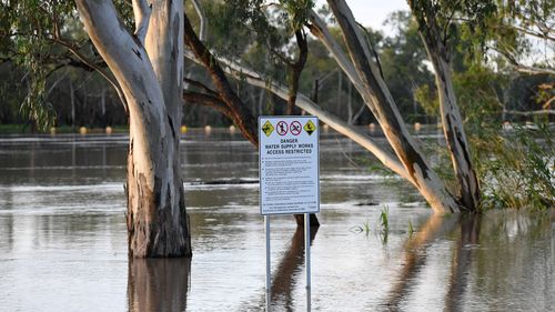 The Balonne river is expected to break its banks and peak over 12 metres on Thursday, causing floods. 