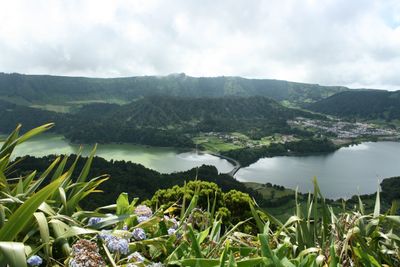<strong>Azores Islands, Portugal&nbsp;</strong>